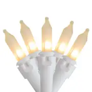 Northlight 50 Count Clear Frosted Mini Christmas Light Set, White Wire