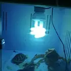 Spin Reptile Light Heat Calcium Lamp Bulb Succulent UV Light Heating Lamp