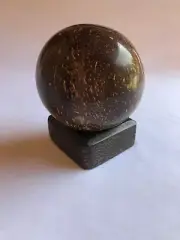 Ceylon Hand Carved COCONUT Shell & Caryota Urens Wood Salt Pepper Shaker Unique