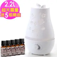 在飛比找蝦皮購物優惠-【Warm】雙噴頭香氛負離子超音波水氧機(W-220白)+澳