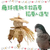 在飛比找蝦皮購物優惠-【因為鸚鵡💕】藤球 拉菲草 楊桃乾 稻草人 披風 造型 啃咬