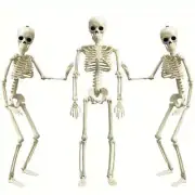 NNETM Set 3pcs 40.64cm Posable Halloween Skeleton Decorations Haunted Houses, Gr