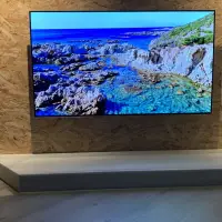 在飛比找蝦皮購物優惠-LG Oled 樂金 55 型 LG OLED 4K 55吋