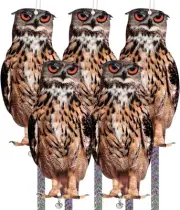 5 Pack Bird Scare Owls - Reflective Hanging Decoration, Angry 5pc