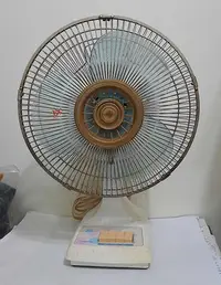 在飛比找Yahoo!奇摩拍賣優惠-TATUNG 大同 傳統復古 30cm 桌扇/電風扇(LD-