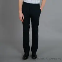 在飛比找momo購物網優惠-【ROBERTA 諾貝達】進口素材 修身時尚 流行西裝褲(黑