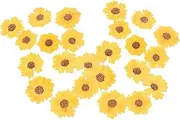 IWOWHERO 24pcs Pressed Daisy Flowers for DIY Crafts Dried Flowers for Candle Making Phone Case Decoration Nail Art and Bookmarks Vivid and Floral Decorations