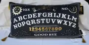 Cynthia Rowley CURIOUS - Down Alternative Pillow - NWT - OUIGA BOARD