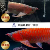 在飛比找蝦皮購物優惠-#热销款馬印神燈龍魚專用燈紅魚不紅水三基色魚缸燈紅龍魚金龍魚