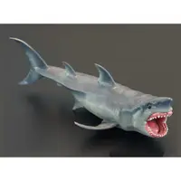 在飛比找蝦皮購物優惠-海洋恐龍動物模型 巨齒鯊 非papo collecta