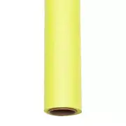 Spectrum Non-Reflective Full Paper Roll Backdrop (2.7 x 10M) - Lemon Lime Spl...