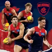 2025 AFL Melbourne Demons 12 Month Square Wall 30x60cm Paper Pocket Calendar