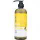 清淨海 檸檬系列環保洗髮精 750g/瓶 控油 現貨
