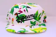 SUPREME SS15 CURRANT 5 PANEL CAP WHITE BRAND NEW W/ TAGS