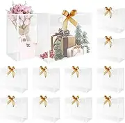 LYIYEYAN 12Pcs Clear Present Bag with Ribbon, Plastic Transparent Present Tote Bag, Reusable Frosted Party Favor Bag with Handle, Waterproof PP Goodie Bag for Party Goodies Wedding, 12.2×4.7×9.8 In