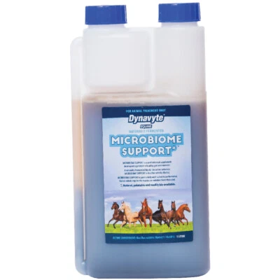 Dynavyte Equine Microbiome Support Healthy Gut Horse Supplement 1L