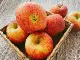 【水果達人】嚴選大顆 紐西蘭蜜蘋果10顆* 2盒(250g/顆)
