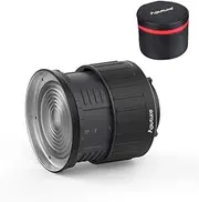 APUTURE Fresnel 2X