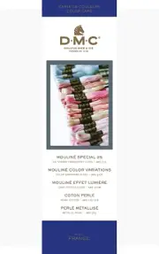 DMC Stranded Cotton Shade Card - W100B