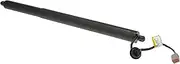 Dorman 747-035 Liftgate Lift/Pull Down Motor Compatible with Select Ford Models