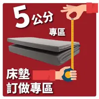 在飛比找蝦皮購物優惠-小老闆寢具【訂做專區】【各式薄床墊】【5CM】【台灣製造】