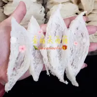 在飛比找蝦皮購物優惠-🎀《金絲燕窩🐧大肉條》🎀