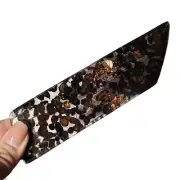 57.2g SERICHO pallasite Meteorite slice - from Kenya QA421
