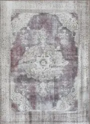 Euphrates Isin Transitional Rust Rug