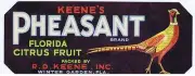 Pheasant Floria citrus fruit crate label, R D Keene Inc