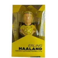 在飛比找蝦皮商城優惠-BVB 20/21: Erling Haaland 厄林•布