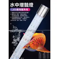 在飛比找蝦皮購物優惠-最新版【帥哥水族】三排燈珠 水陸兩用 水中燈 LED燈 龍魚