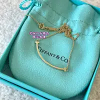 在飛比找蝦皮購物優惠-『艾琳二手』TIFFANY & Co.蒂芙尼 T系列 經典微