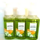 Bath Body Works CUCUMBER MELON Gentle Foaming Hand Soap, NEW, x 3