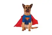 Superman Dog Costume (Blue/Red) - UTBN4893