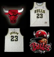CHICAGO BULLS WHITE AND GOLD MICHAEL JORDAN 23 JERSEY SIZE 2XL