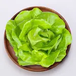 HOHOYA 日沙拉 【奶油萵苣】 綠奶油萵苣 水耕生菜 綜合生菜 生菜沙拉 美生菜 蔬菜