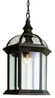 Trans Globe Lighting 4183-BK Wentworth Outdoor Pendant or Chandeller Black