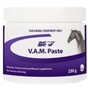 Ceva V.A.M. Vitamin Mineral Supplement Horse Dog Paste 250g