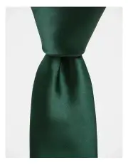 [Blaq] Core Poly Green Tie