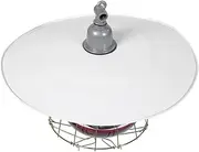 Sosoport Brooder Lamp for Chicks Whelping Heat Lamp Livestock Warming Light for