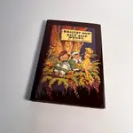 收藏書 復古 RAGGEDY ANN IN THE DEEP DEEP WOODS 紅髮安娜 原文 書籍 外文書 插畫