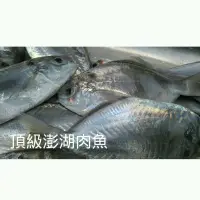 在飛比找蝦皮購物優惠-【澎湖直送】野生頂級肉魚 新鮮魚貨乾淨處理產地直送 600g