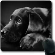 New Computer Mouse Pad - Labrador Retriever