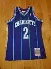 Mitchell & Ness Larry Johnson 94-95 Purple CHARLOTTE HORNETS NBA Swingman JERSEY
