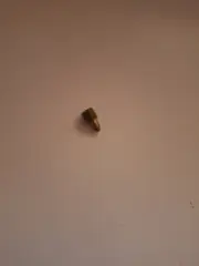 NOS OMC Lawn-Boy Mower Carburetor Mixture Screw. Part 609686