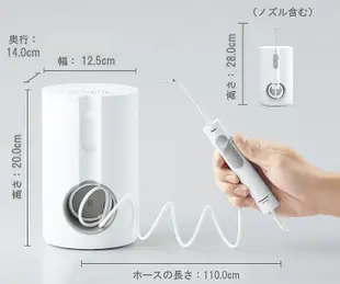 國際牌 Panasonic EW-DJ71 沖牙器 洗牙器  洗牙機 電動牙刷