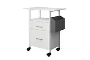 2 Drawer File Cabinet Office Home Filing Storage Furniture White Modern Wood Rolling Vertical Document Organiser Open Shelf for Letter Legal A4 Size
