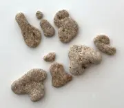 Natural Letter Shaped BIG TIME Rocks Beach Stones pebble art craft hag holey US