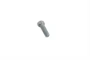 Screw for Ratchet Top fits Harley Davidson
