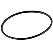Netafim Manual Plastic Disc Filter Cover O-ring
